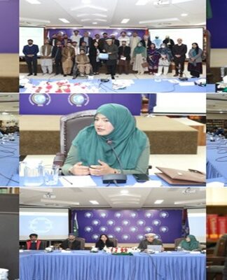 پریس ریلیز: آئی ایس ایس آئی نے پاکستان اکیڈمی آف لٹرز کے ‘رائیٹرز ریزیڈنسی پروگرام’ کے وفد کی میزبانی کی