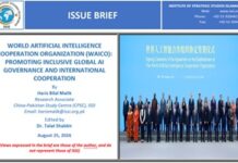 Issue Brief on “World Artificial Intelligence Cooperation Organization (WAICO): Promoting Inclusive Global AI Governance and International Cooperation”