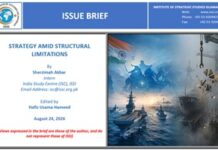 Issue Brief on “Strategy Amid Structural Limitations”
