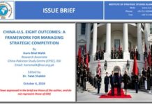 Issue Brief on “China-U.S. Eight Outcomes: A Framework for Managing Strategic Competition”